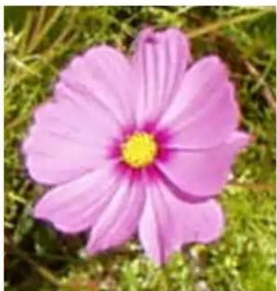 Gimp 2.4 - 15.3.22.1Généralités - 3