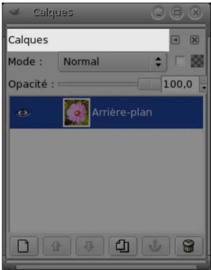 Gimp 2.4 - 3.2.3.2Lapoignedeglisser/deposer - 1