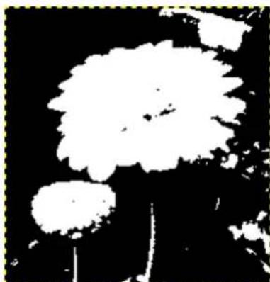 Gimp 2.4 - AVERTISSEMENT - 1