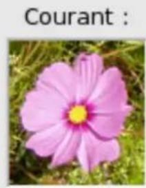 Gimp 2.4 - FenétresVouspouvezzchoisirentre: - 4