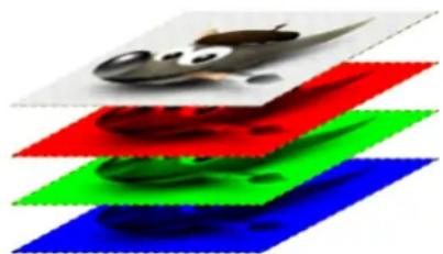 Gimp 2.4 - 5.1Typesd'images - 3