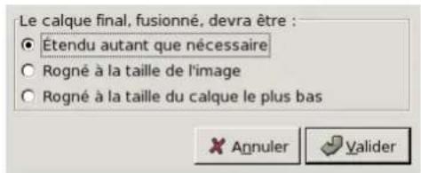 Gimp 2.4 - 14.9.20.20OptionsDescriptiondelafenetre“Fusionnerlescalquesvisibles” - 1