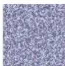 Gimp 2.4 - TUYAU - 9