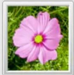 Gimp 2.4 - FenétresVouspouvezzchoisirentre: - 13