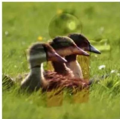 Gimp 2.4 - Superposcr - 2