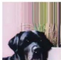 Gimp 2.4 - 15.7.2.2Options - 3