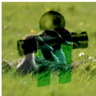 Gimp 2.4 - Soustraction - 2