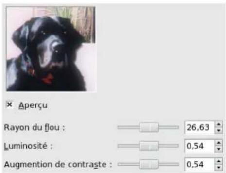 Gimp 2.4 - 15.11.10.3Options - 1