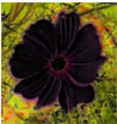 Gimp 2.4 - 15.3.22.1Généralités - 4