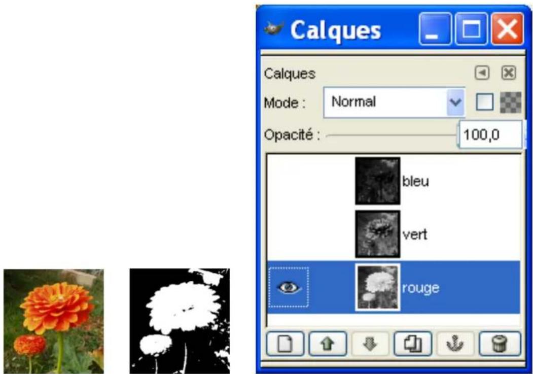Gimp 2.4 - 12.5.5.3Utiliserl'outilSeuiletteMasquerapidepourcreerunmasquedesélection - 1