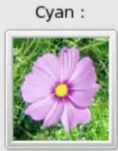 Gimp 2.4 - FenétresVouspouvezzchoisirentre: - 3