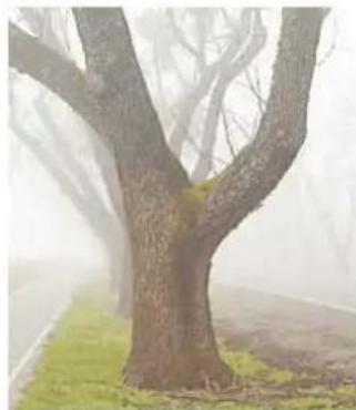 Gimp 2.4 - 7.1LaSélection - 1