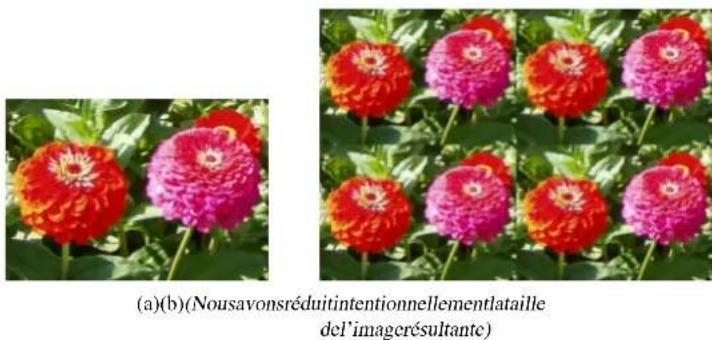 Gimp 2.4 - 15.12.10.1Généralités - 1