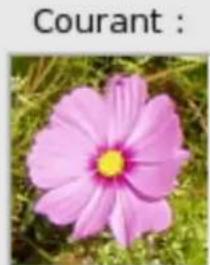 Gimp 2.4 - FenétresVouspouvezzchoisirentre: - 9