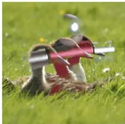 Gimp 2.4 - Noircirseulement - 4