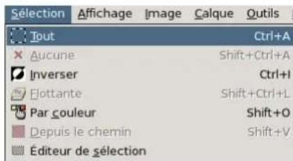 Gimp 2.4 - Vousagissezendehorsdelasélection - 1
