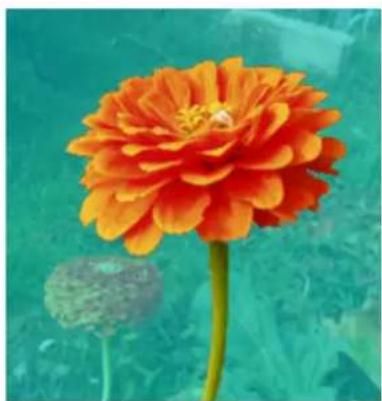 Gimp 2.4 - AVERTISSEMENT - 3