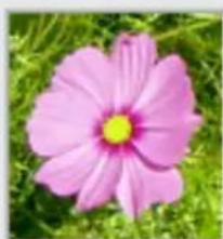 Gimp 2.4 - FenétresVouspouvezzchoisirentre: - 12