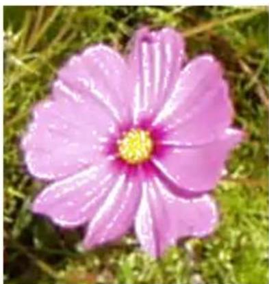 Gimp 2.4 - 15.3.22.1Généralités - 5