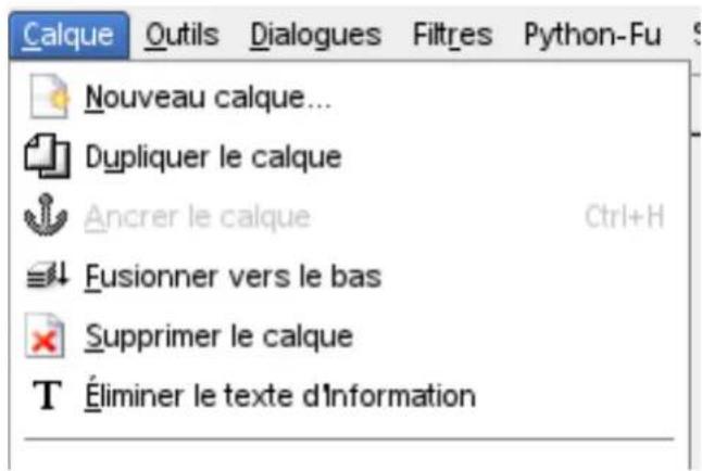 Gimp 2.4 - 14.10.7Éliminerl'InformationTexte - 1