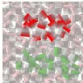 Gimp 2.4 - 15.11.4.2Options - 5