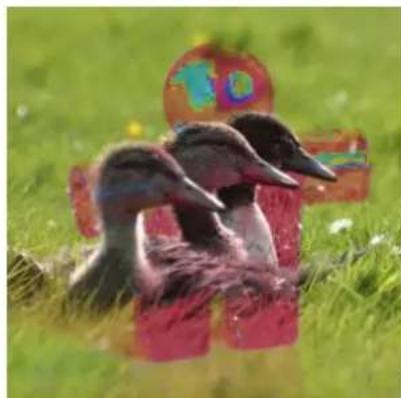 Gimp 2.4 - Noircirseulement - 6