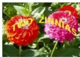 Gimp 2.4 - 15.12.3.3Utiliserundégradépourcourberuntexte - 3