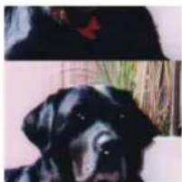 Gimp 2.4 - 15.7.2.2Options - 4