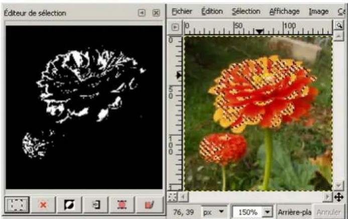 Gimp 2.4 - Descriptiondelafenetre "Editeurdeselection" - 2