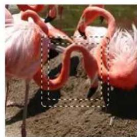 Gimp 2.4 - 14.7.13Bordure - 2