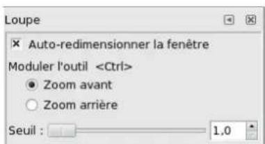 Gimp 2.4 - 12.6.3.3Options - 1