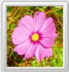 Gimp 2.4 - FenétresVouspouvezzchoisirentre: - 8