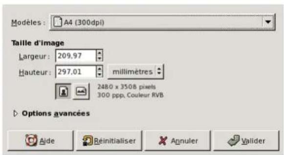 Gimp 2.4 - 14.5.2.2Options - 1