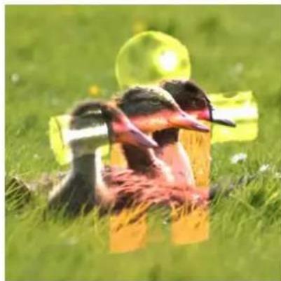 Gimp 2.4 - Eclaircir - 2