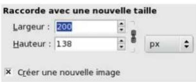 Gimp 2.4 - 15.12.10.2Options - 1
