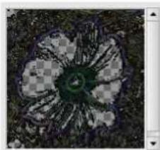Gimp 2.4 - 15.5.6.2Options - 1