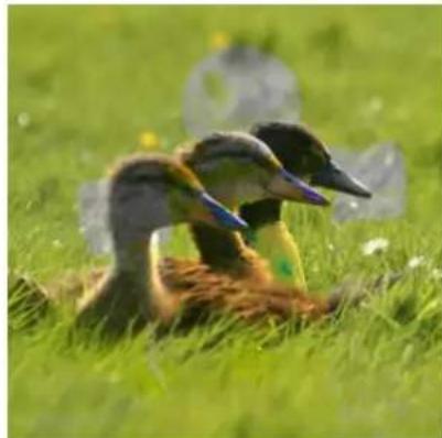 Gimp 2.4 - Saturation - 2