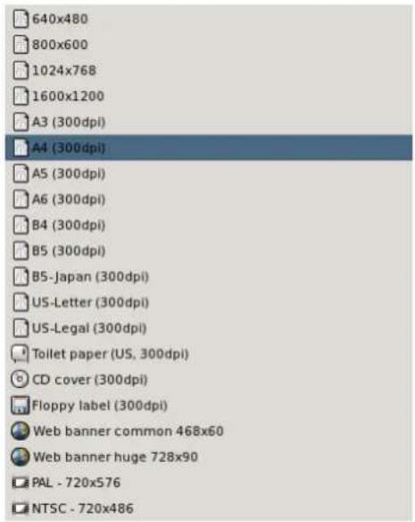 Gimp 2.4 - Modèle - 1