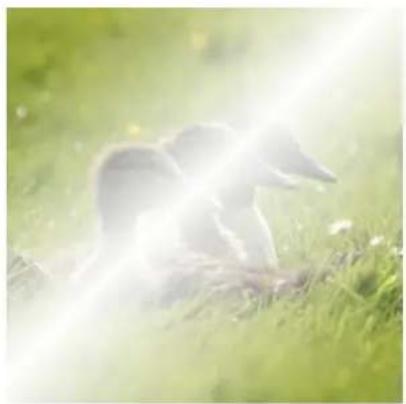 Gimp 2.4 - Multiplier - 5