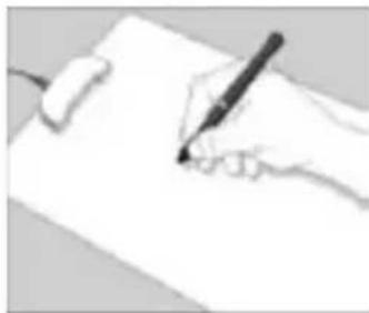 Zipy Fun University - Escribir correctamente - 1