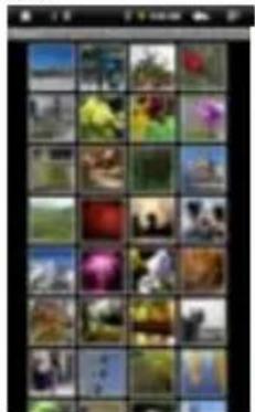 Zipy Fun University - Photo Thumbsils - 1