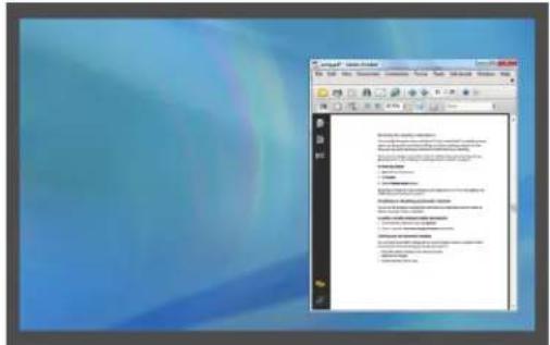 Motion Computing F5v - Extension avec monitreur principal - 1