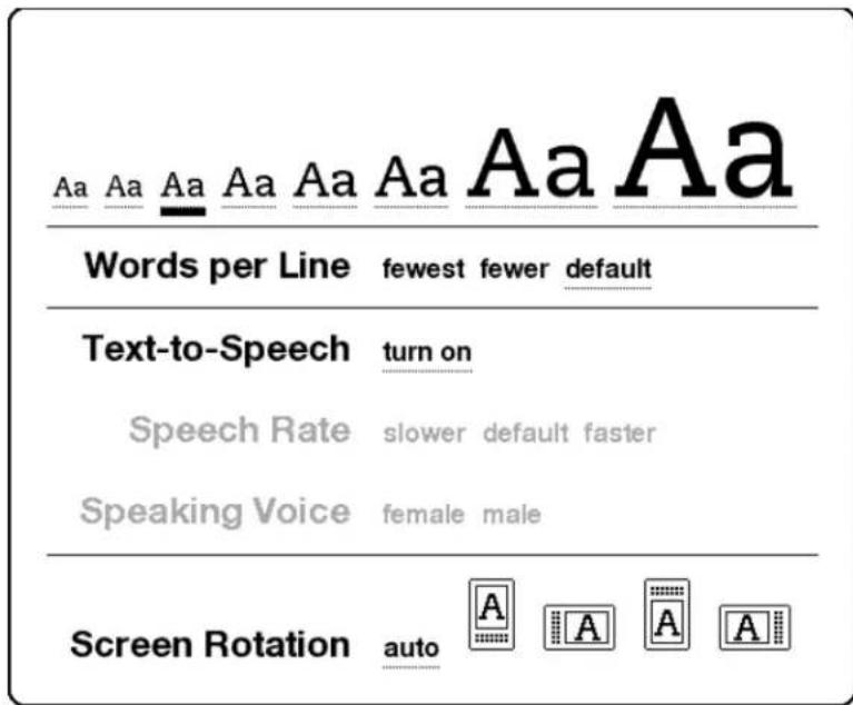 AMAZON Kindle DX (3rd edition) - TEXT-TO-SPEECH - 1