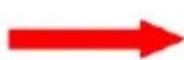 Sunstech Tab 104 QC - Sans fil : - 2