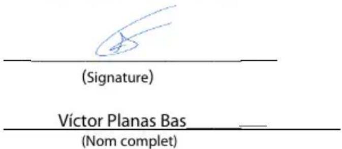 Sunstech Tab 104 QC - Déclaration de conformité - 1