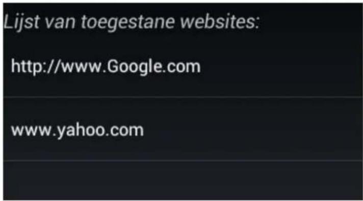 INGO MMU002D - Voornaamste elementen van de browserinterface - 4