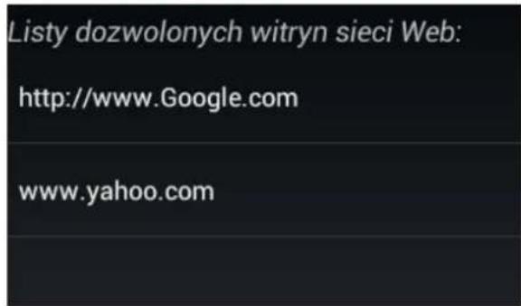 INGO MMU002D - Głowny interfejs przyegrądarki - 1