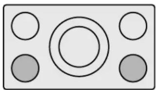 GAGGENAU CI491612 - Fonction Frire - 2