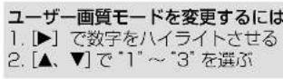 PANASONIC SCST1 - 本機情報 - 2