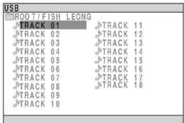 PANASONIC SCPT150 - Avviare la riproduzione selezionando la traccia dal dispositorio di memoria di massa USB. - 1